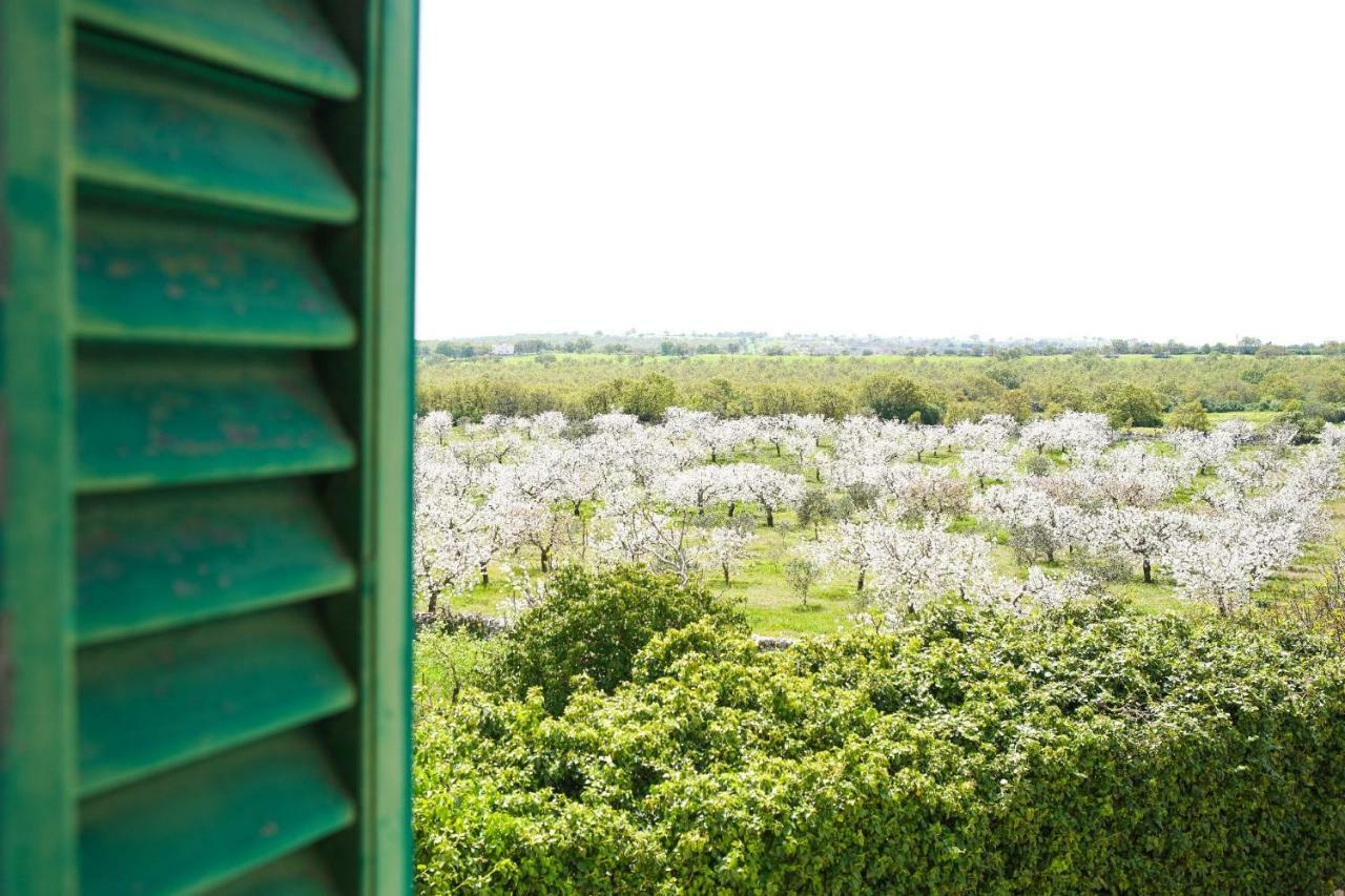 Masseria Guadiano Vecchio Santa Lucia  Ngoại thất bức ảnh