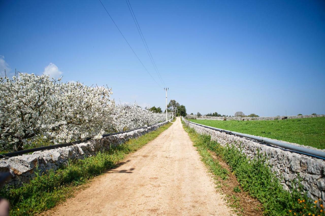 Masseria Guadiano Vecchio Santa Lucia  Ngoại thất bức ảnh