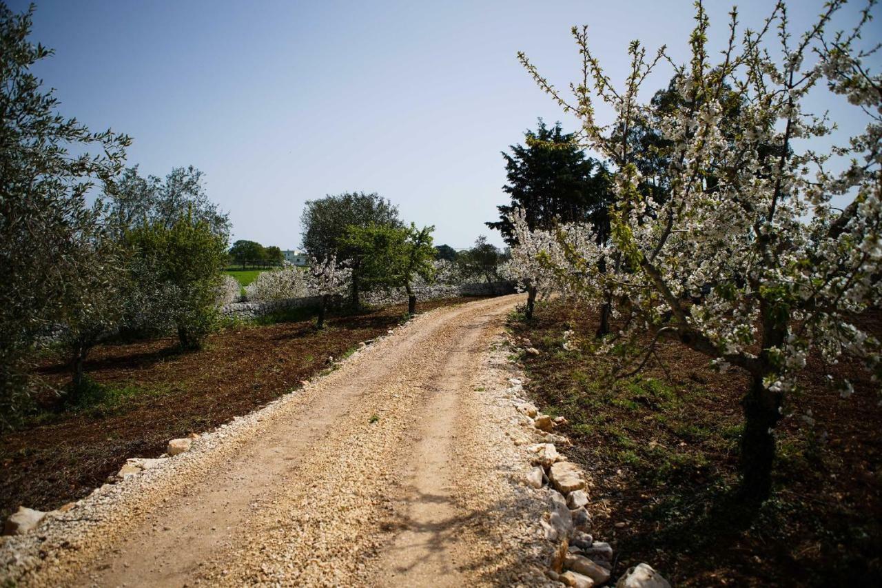 Masseria Guadiano Vecchio Santa Lucia  Ngoại thất bức ảnh