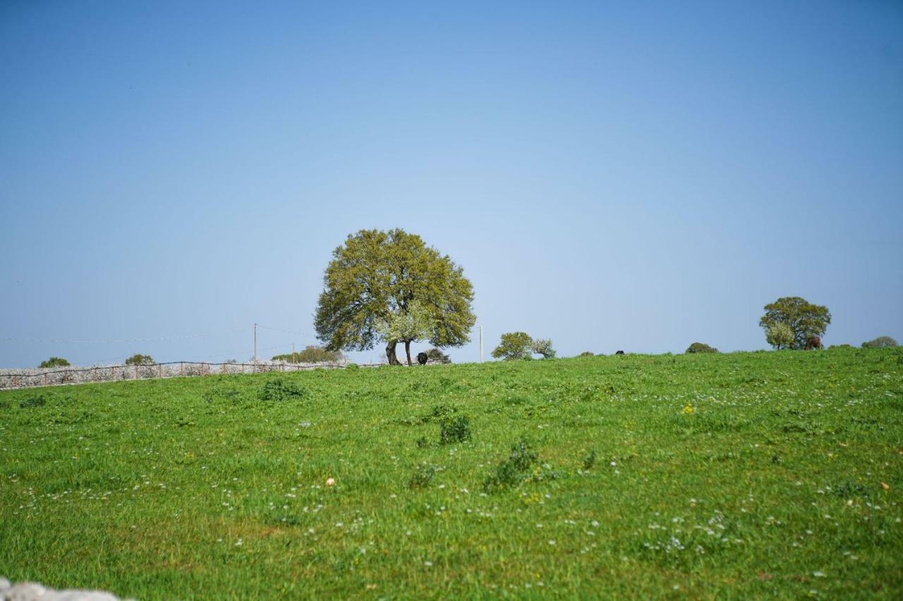 Masseria Guadiano Vecchio Santa Lucia  Ngoại thất bức ảnh